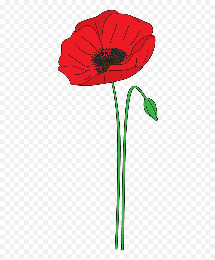 Download Poppy Jump Transparent Png - Poppy Background Anzac Day,Poppies Png