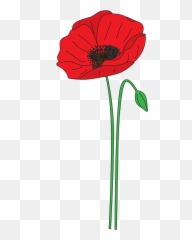 Download Poppy Jump Transparent Png - Poppy Background Anzac Day,Poppies Png
