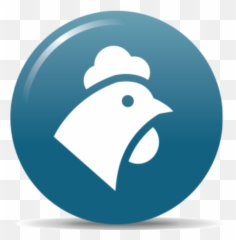 Contact Oligo Essential - Language png