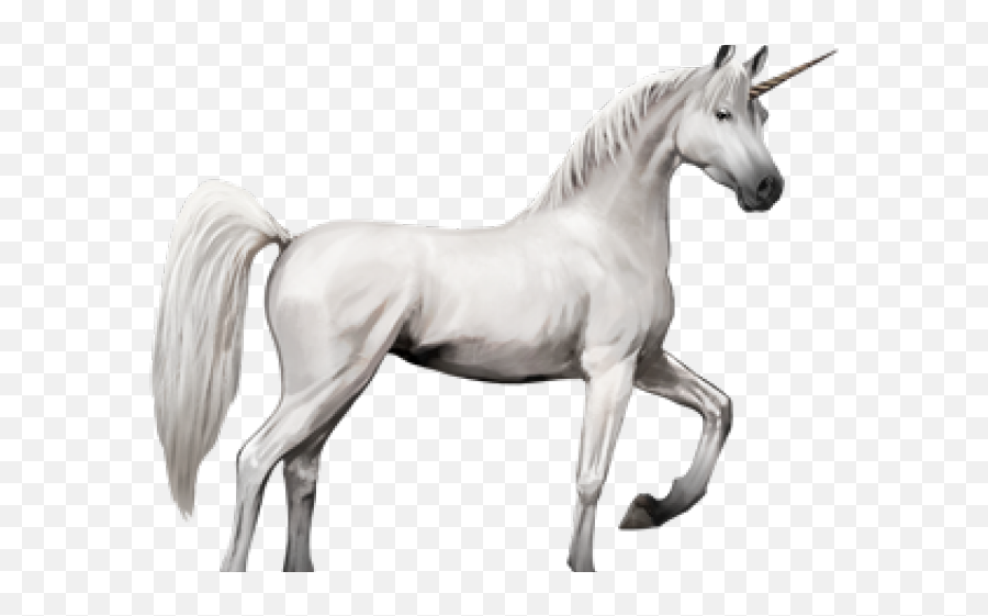 Download Unicorn Png Transparent Images - Horse With Wings 5 Animals Combined Into One,Unicorn Png Transparent