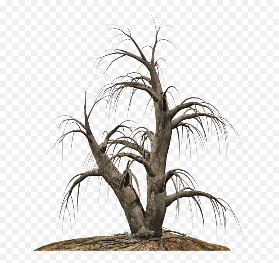 Clipcookdiarynet - Dead Tree Clipart Desert Png 21 1024,Dead Grass Png
