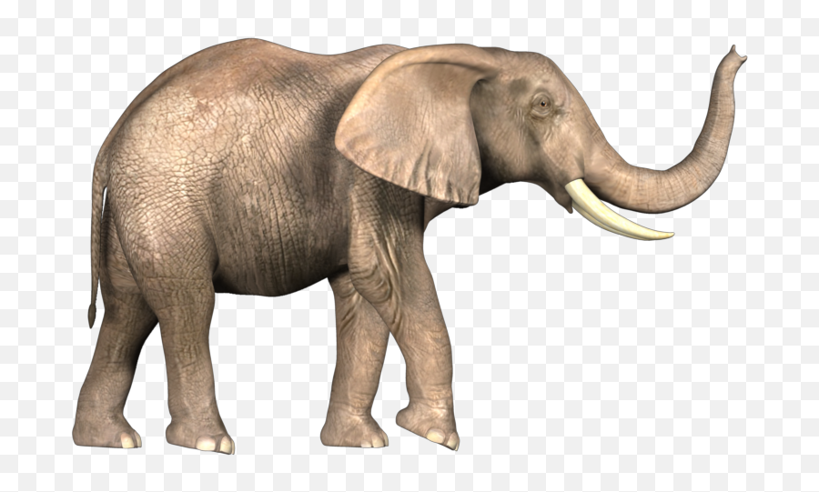 Elephants Png Picture - Bahubali Elephant Png,Elephant Png - free  transparent png images 