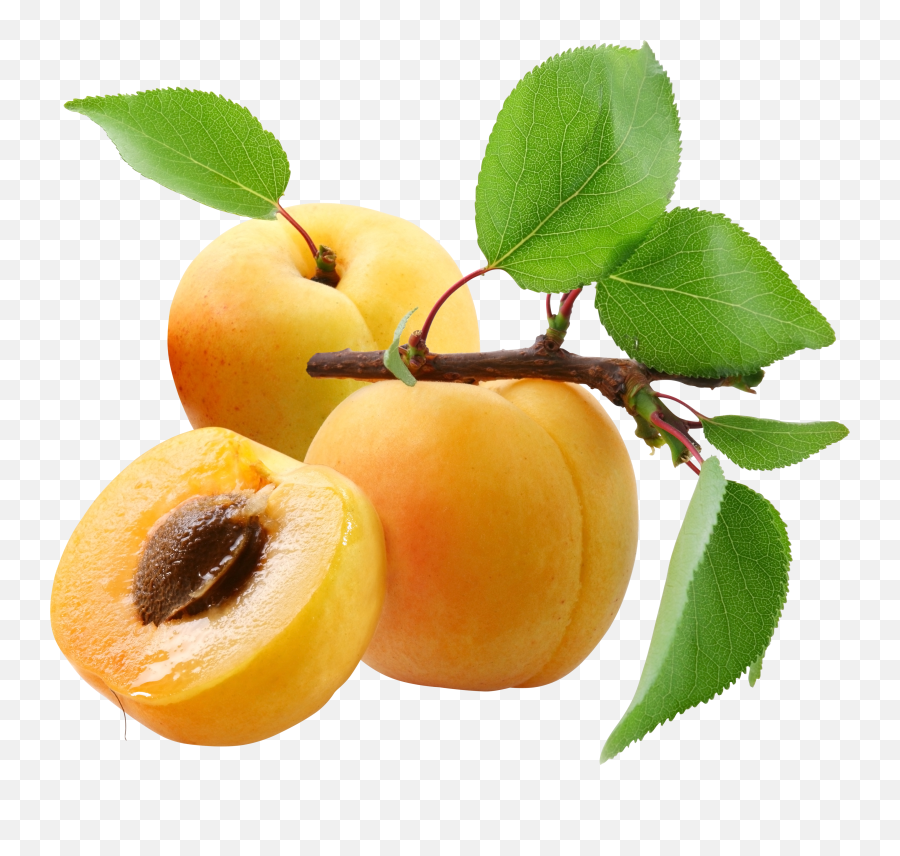 Three Peaches Transparent Png - Apricots Png,Peaches Png