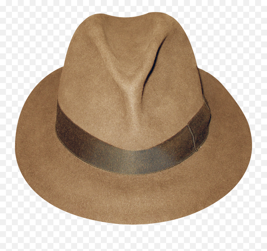 Hatt2 - Clipart Hat Brown Fedora Png,Fedora Png