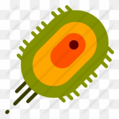 Bacteria - Free Education Icons Png Bacteria Icon,Bacteria Transparent Background