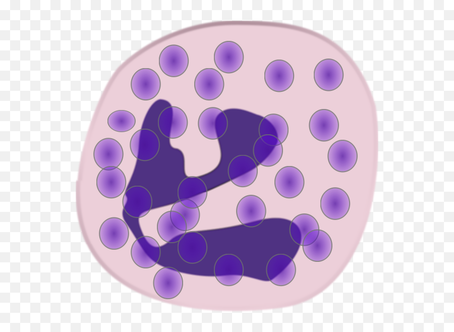 Neutrophil Free Svg - Thrombocytopenia Liver Disease Png,Purple Circle Png