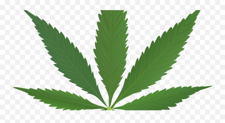 Cannabis Png - Cannabis Leaf,Weed Leaf Transparent