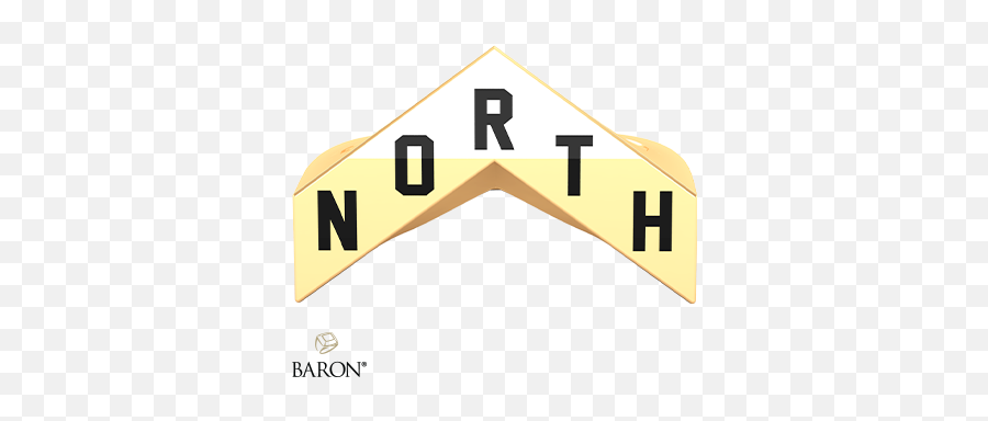 Championship North Ring - Raptors North Logo Png,Raptors Png