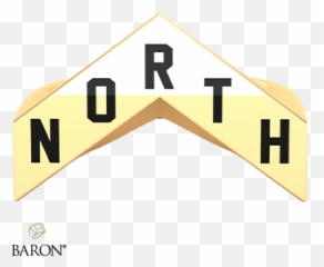 Championship North Ring - Raptors North Logo Png,Raptors Png