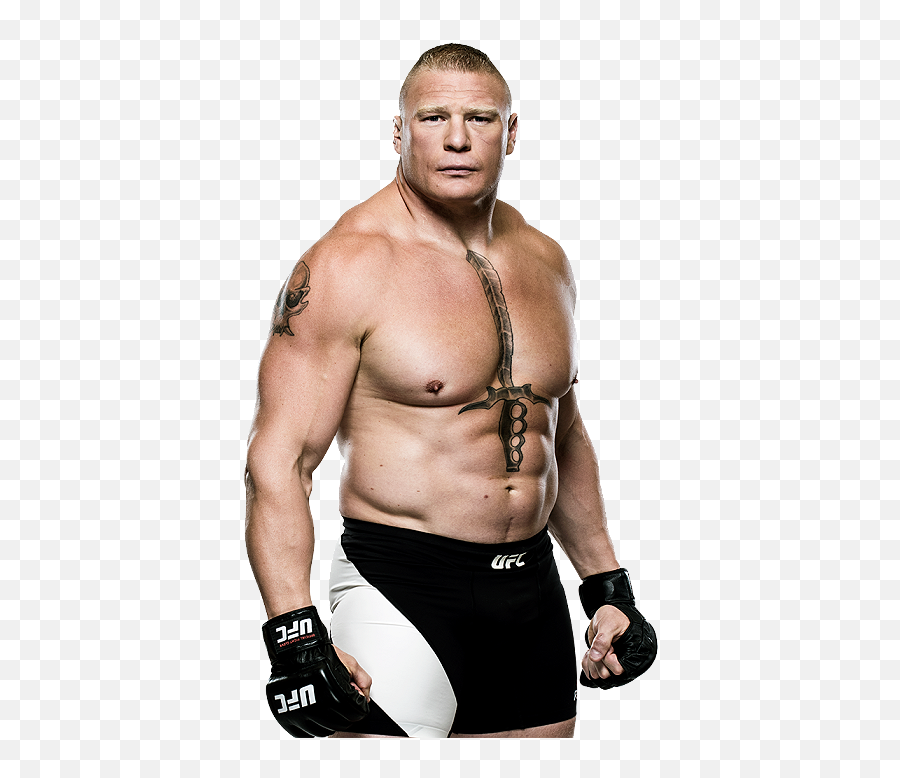 Download Img - Brock Lesnar Ufc Png,Brock Lesnar Transparent