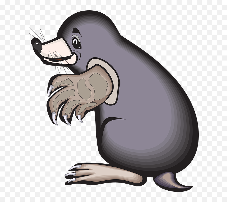 Ground Animal Claws - Mole Animal Clip Art Png,Claws Png