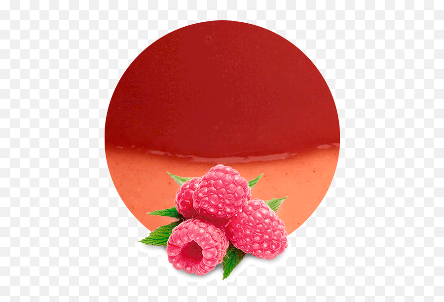 Raspberry Pomace - Manufacturer U0026 Supplier Lemonconcentrate Seedless Fruit Png,Raspberries Png