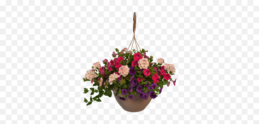 Download Hanging Flower Pot Png - Hanging Basket Full Size Hanging Flower Basket Png Hd,Flower Pot Png