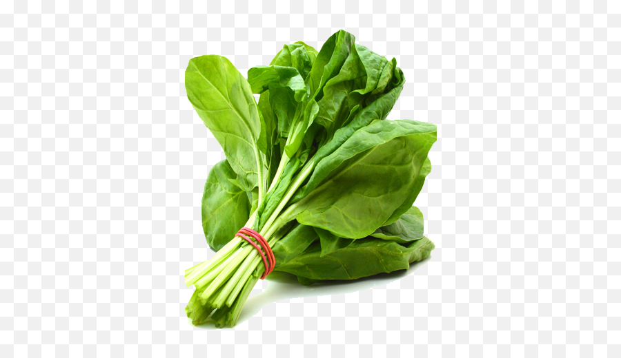 Download Spinach Png Free - Vegetable Spinach,Spinach Png