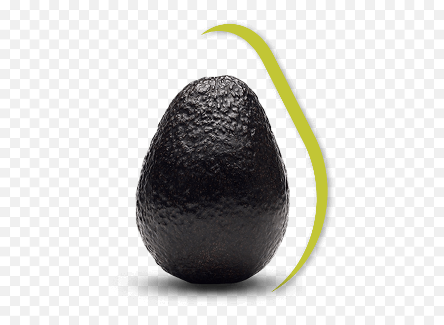 Avacado Png - Black Avocado,Avacado Png