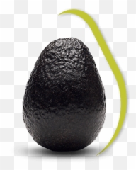 Avacado Png - Black Avocado,Avacado Png
