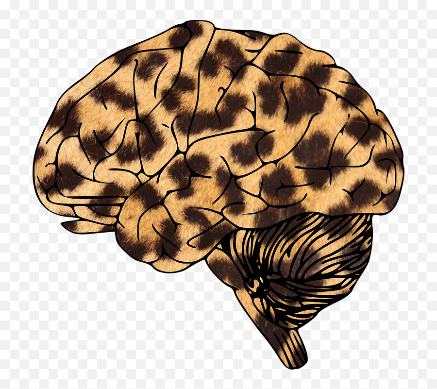 Brain Leopard Animal Png Print