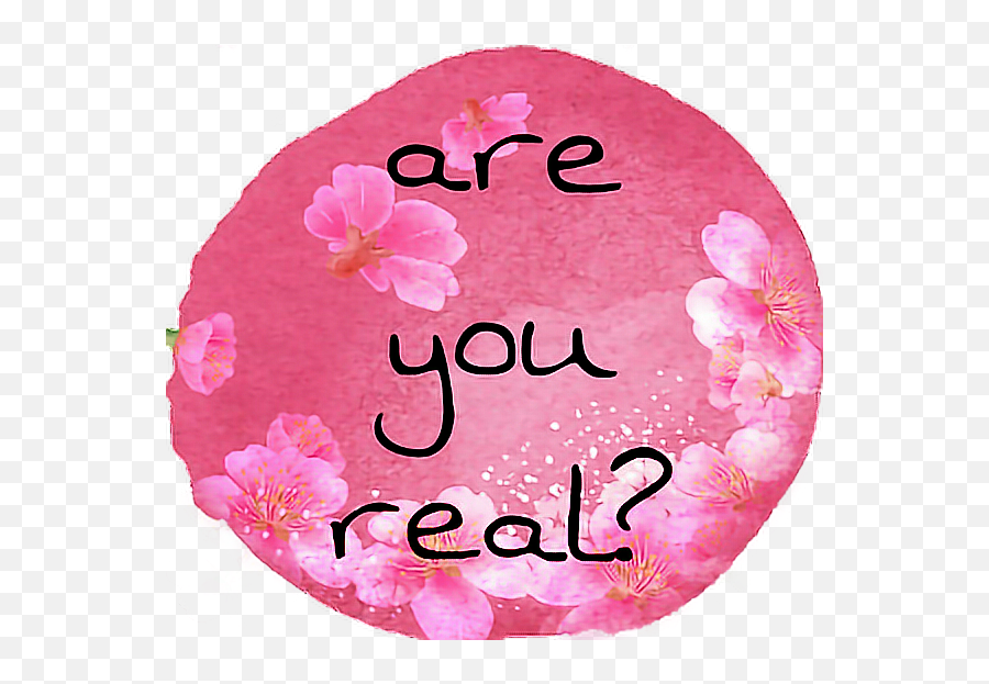 Are You Real Tumblr Aesthetic Pink Text Flower - Flower Png,Real Flower Png