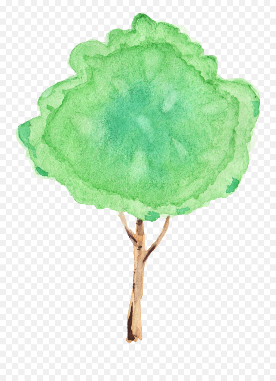 12 Watercolor Tree Transparent - Tree Png,Watercolor Tree Png