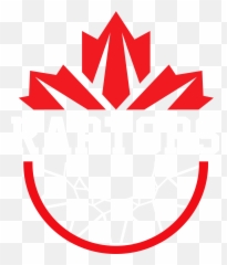 Fan Made Toronto Raptors Basketball - Language png