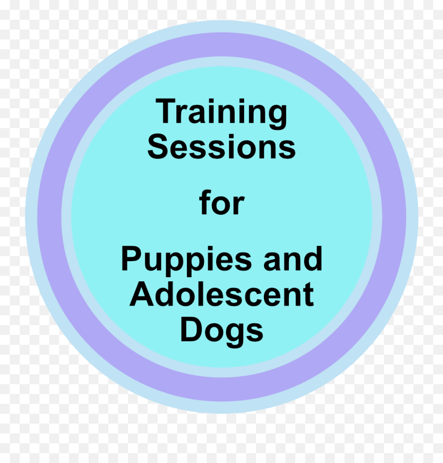 Positive Puppy Training For 21st Century Pups And Their - Lico Leasing Png,Puppies Png