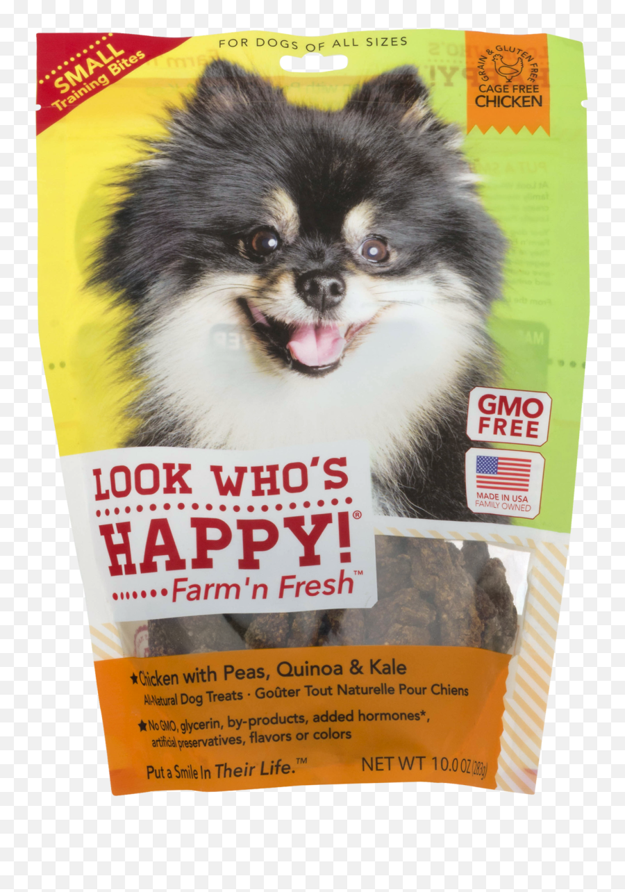 Pomeranian - Dog Supply Png,Pomeranian Png