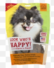 Pomeranian - Dog Supply Png,Pomeranian Png