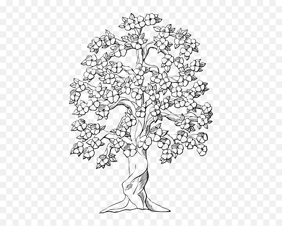 Download Hd Black Apple Fruit Outline Drawing Sketch - Free Printable Tree Coloring Pages Png,Apple Outline Png
