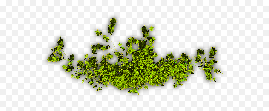 Creepers Png 1 Image - Tree,Creepers Png