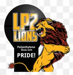 Snapshots - Graphic Design Png,Lions Logo Png