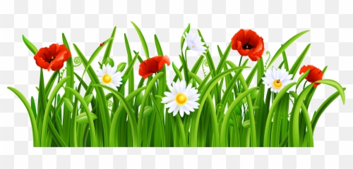 Png V - Flower With Grass Png,Poppies Png