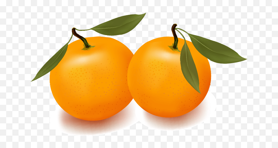 Orange Apple Apricot Cherry Plum Png Images Download Vector - Fruits Vector,Grapefruit Icon