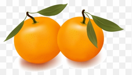 Orange Apple Apricot Cherry Plum Png Images Download Vector - Fruits