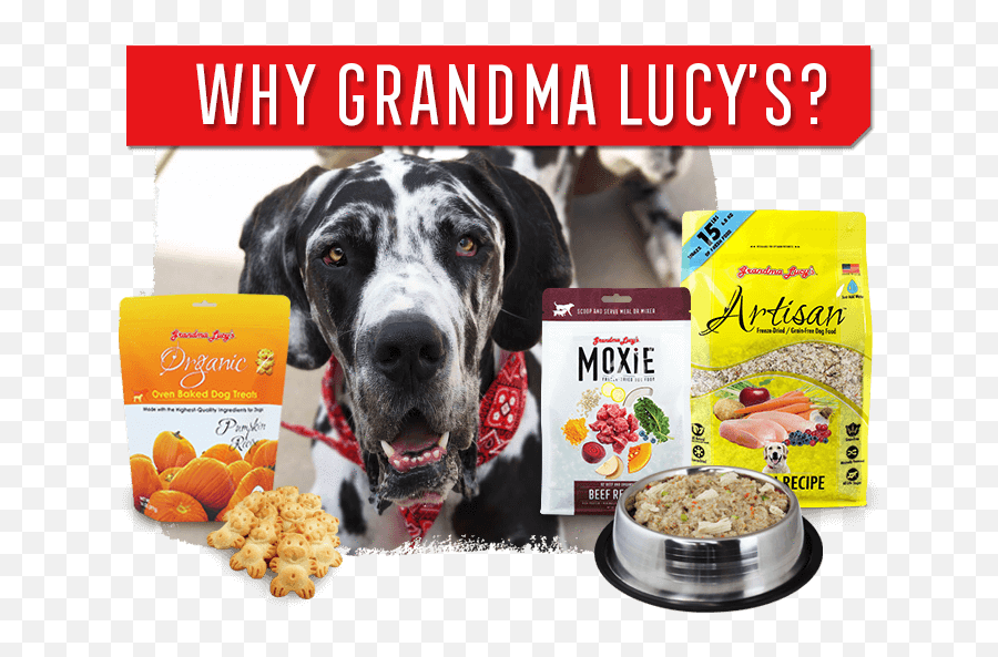 Grandma Lucyu0027s All Natural Freeze - Dried Pet Food And Treats Grandma Dog Food Png,Dog Food Png