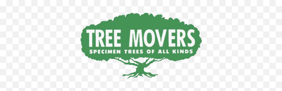Tree Nursery Information Mountain View Ca - Tree Movers Language Png,Acacia Tree Icon