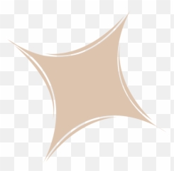 About Us - Breezy Shade png