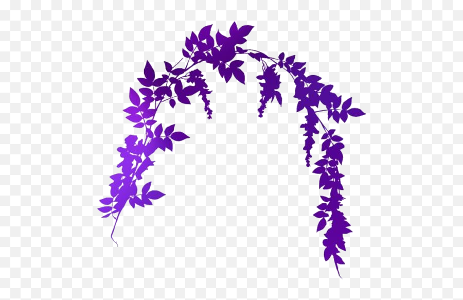 Wisteria Vine Png Hd Images Stickers Vectors - Cartoon Wisteria Transparent Background,Vine Icon