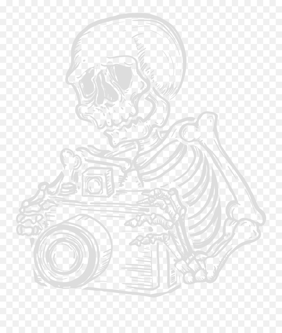 Three Region Photography - Raleigh Wedding Photographer Press Camera Png,Skeleton Aesthetic Icon