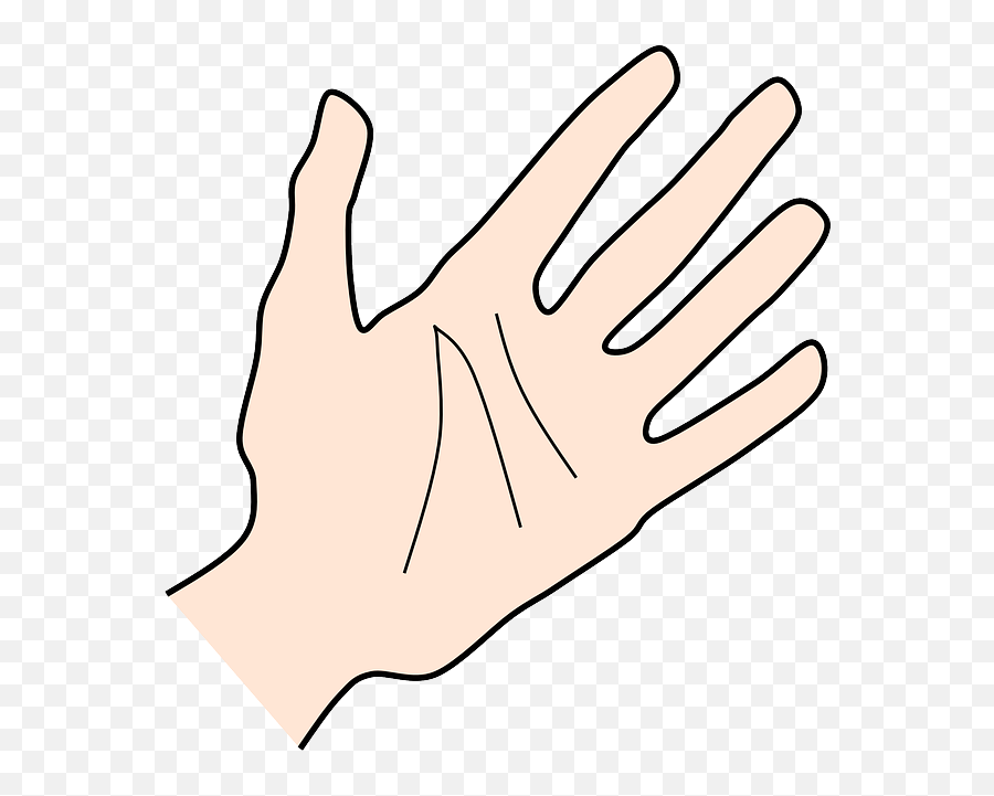 Human Fingers - Clip Art Png,Hand Palm Png