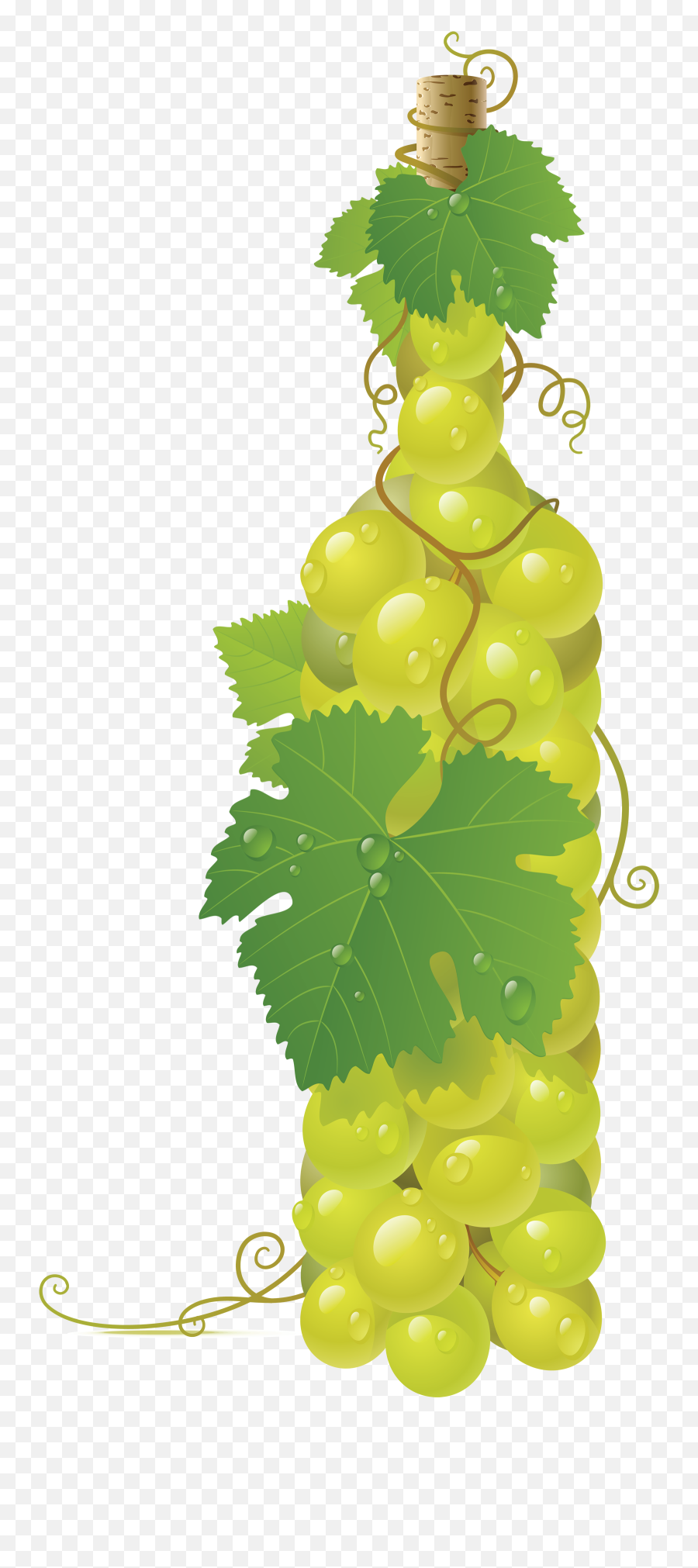 Winebottle Out Of Grapes Png Image For Free - Vines With Grapes Png,Grapes Png