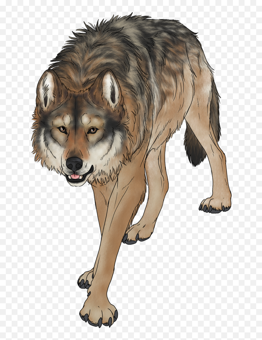 Wolf Png - Wondering Wolf Pathfinder Wolf Transparent Pathfinder Wolf,Howling Wolf Png