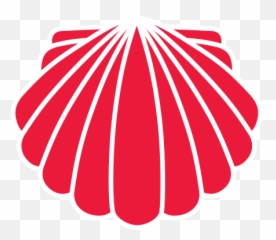Concha Png 4 Image - Illustration,Concha Png