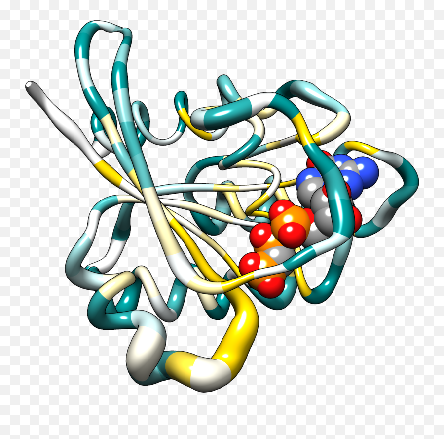 Hras Bfactor Worm Colored - Protein B Factor Chimera Png,Worm Png