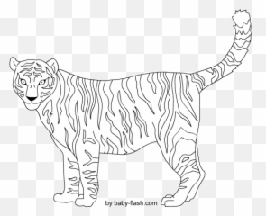 Download Tigre Png - Illustration,Tigre Png