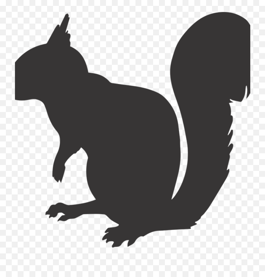 Download Squirrel Silhouette Math Clipart - Squirrel Silhouette Transparent Background Squirrel Clipart Png,Math Clipart Png