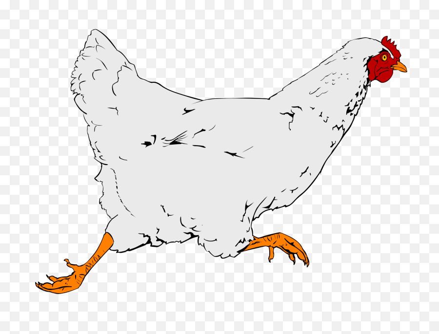 Filechicken Clipart 01svg - Wikimedia Commons Chicken Clip Art Png,Chicken Head Png