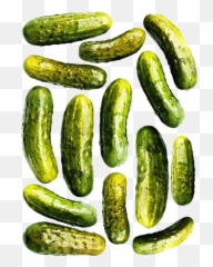 Gut Health - Spreewald Gherkins Png,Pickle Png