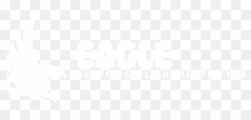 Ryzer Mindset - Eagle Athlete Type Darkness Png,Eagles Helmet Png