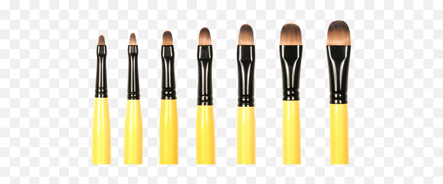 Download Hd Filbert Paint Brushes - Makeup Brushes Png,Paintbrush Png