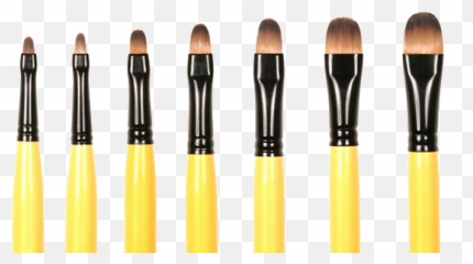 Download Hd Filbert Paint Brushes - Makeup png